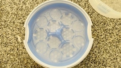 Esterilizador Para Microondas Avent Sin Uso en internet