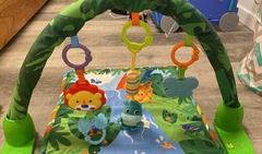 Gimnasio Selva Fisher Price en internet