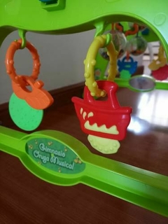 Gimnasio Musical Oruga en internet