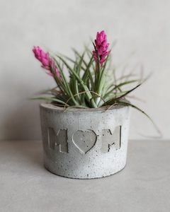 Vaso de Cimento Cachepot Casal Iniciais - comprar online