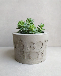 Vaso de Cimento Tô Com Sede Cachepot G