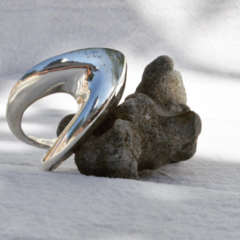 Anillo Nao