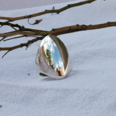 Anillo Ovoide en internet