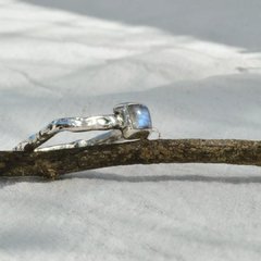 Anillo Palmira en internet