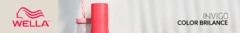 Banner da categoria Wella