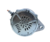 1012118130 ALTERNADOR DENSO CATERPILLAR 96 A 03 24V 95A (ORIGINAL) na internet