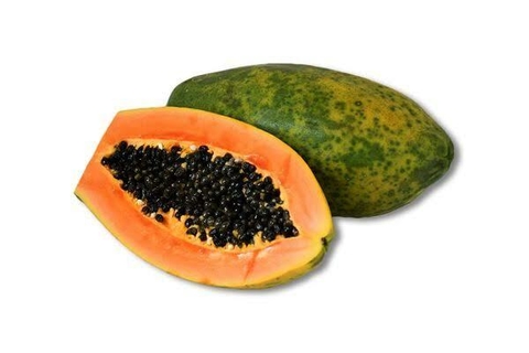 MAMÃO CALIMOSA