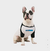 Roupa para Cachorro EMS RACING Full Logo - comprar online