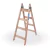 Escalera De Madera Pintor ALPINA