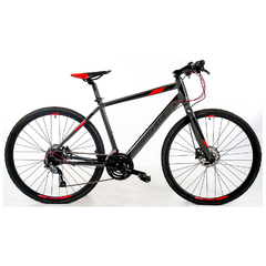 Raleigh Urban 1.1