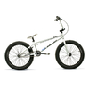 Raleigh Jump Freestyle 20