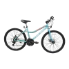Firebird MTB 26 19170 Disc