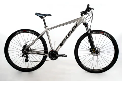 Raleigh Mojave 4.5 29 Mountain Bike en internet