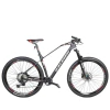 RALEIGH MOJAVE 9.5 RODADO 29