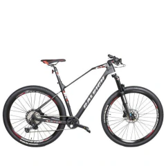 RALEIGH MOJAVE 9.5 RODADO 29
