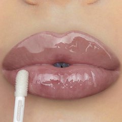 Imagem do Gloss Vizzela Power