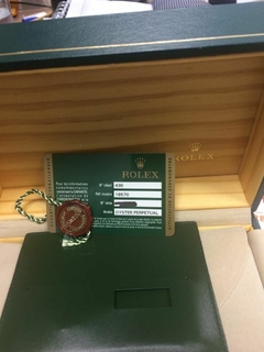 Imagem do Rolex Explorer Polar