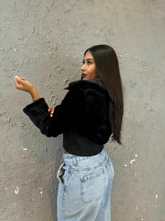 CAMPERA “ROMA” en internet