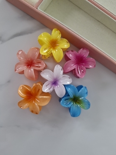 Mini broche hawaiano