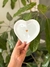 Platito Corazón Aurora
