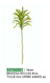 Galho Artificial Dracena Reflexa Real Toque - Verde Creme - 78cm - Florarte