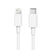 Cabo de USB-C para Lightning (1 m) Apple na internet