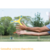 BOOMERANG PERCEPTION VOODOO - comprar online