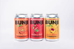 BUNJI - Kombucha x 385ml