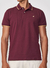 Polo Colcci