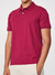 Polo Colcci