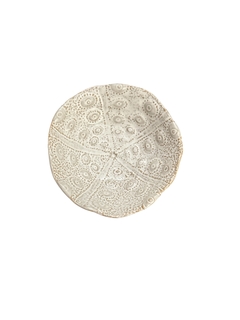 Platito ALBERCA S - comprar online