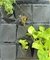 Estructura de soporte para armar pared verde/jardín/huerto vertical (16x60) - comprar online