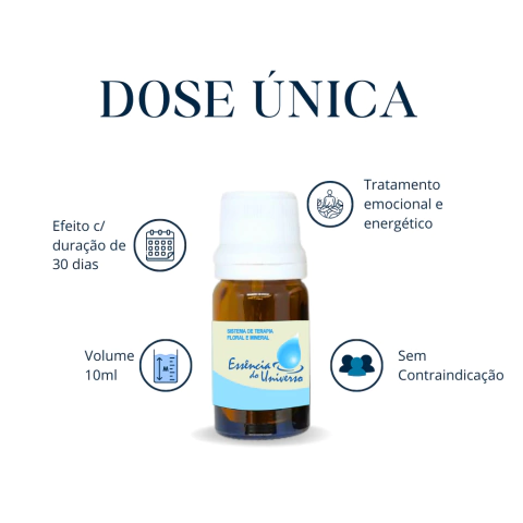 Flow - Sintonize-se com o agora. na internet