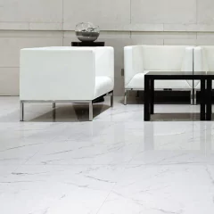 VITE APUANO PULIDO 60X120