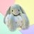 Manta con Peluche Conejo