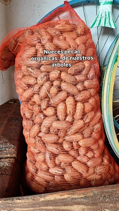 Nueces pecán x 8 kg o por 1 kg