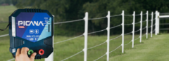Banner de la categoría Picana 