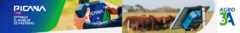 Banner de la categoría Picana