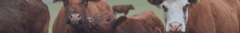 Banner de la categoría Saneamiento