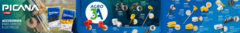 Banner de la categoría Picana