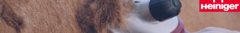 Banner de la categoría Peladoras y Esquiladoras