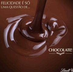 LINDT LINDOR AO LEITE 75g na internet
