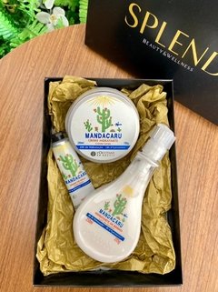 Kit Mandacaru Mega Hidratação (Creme de Mãos 30g + Hidratante de Banho 250ml + Creme Hidratante 200ml)