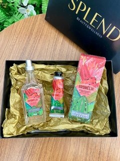 Kit Bromélia Harmonia (1 Creme Hidratante Mãos + 1 Spray Perfumado Corporal)