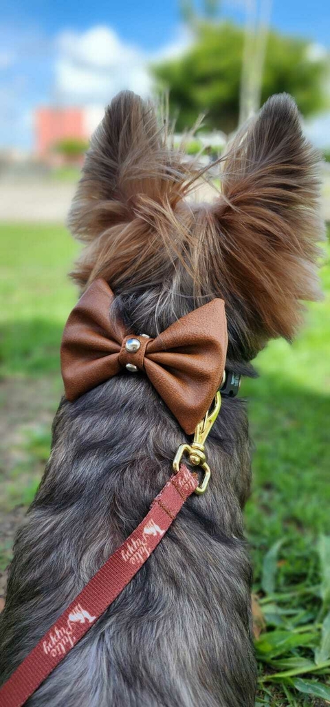 COLEIRA LAÇO COURO´S C/GUIA