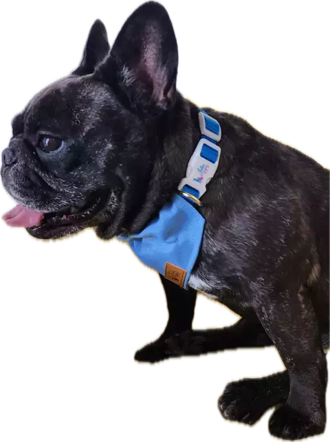 BANDANA AQUAPET C/GUIA - AZUL