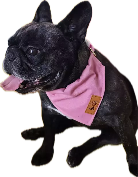 BANDANA AQUAPET C/GUIA - ROSA