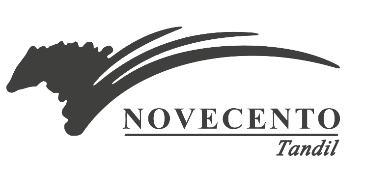 Novecento Joyas Tandil
