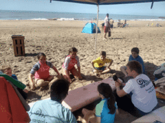 CLASES DE SURF