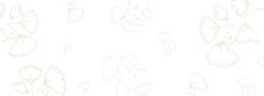Banner de la categoría Velas 